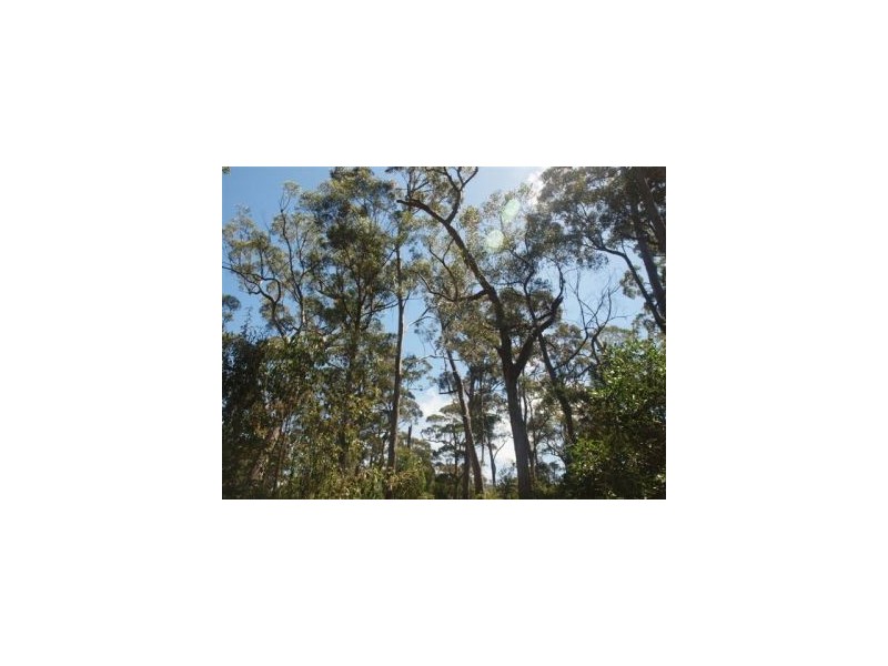 Eaglehawk Neck TAS 7179