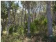 Eaglehawk Neck TAS 7179