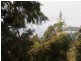 Eaglehawk Neck TAS 7179