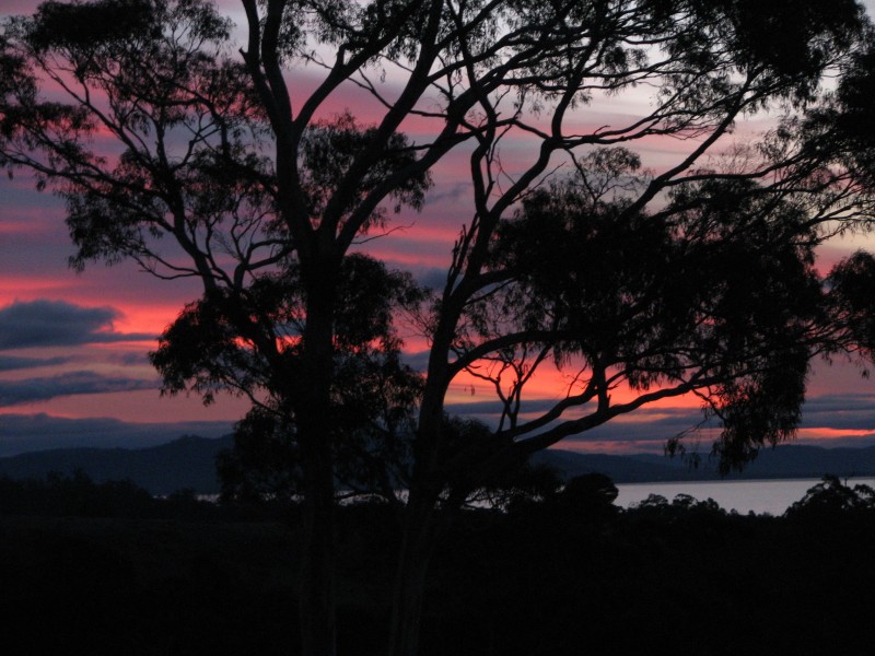 Sloping Main TAS 7186