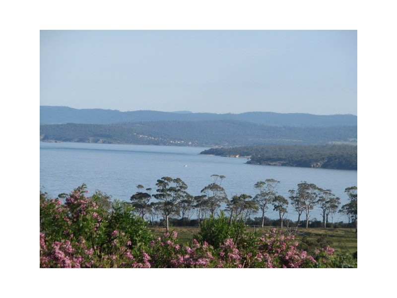 Sloping Main TAS 7186