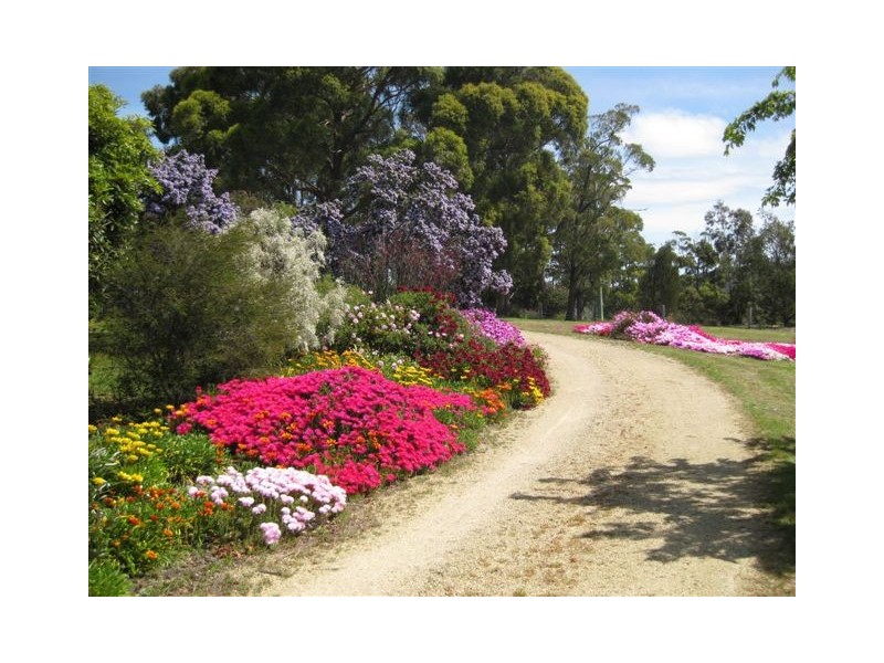 Sloping Main TAS 7186