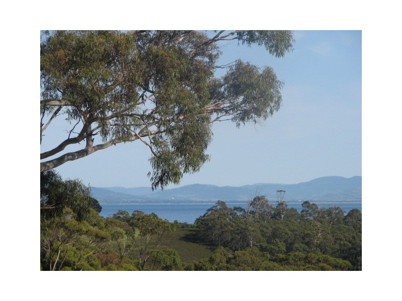 Sloping Main TAS 7186