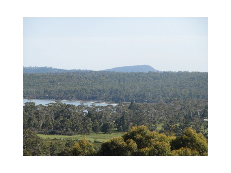 Sloping Main TAS 7186