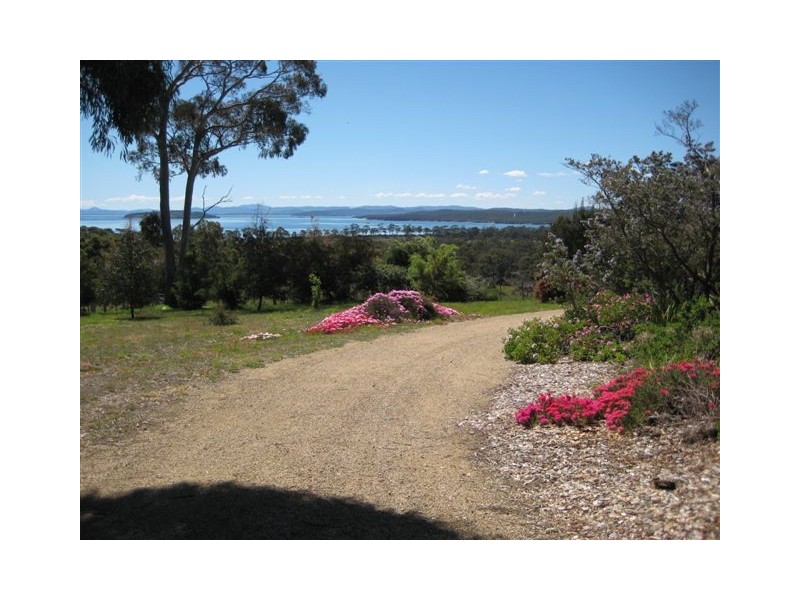 Sloping Main TAS 7186