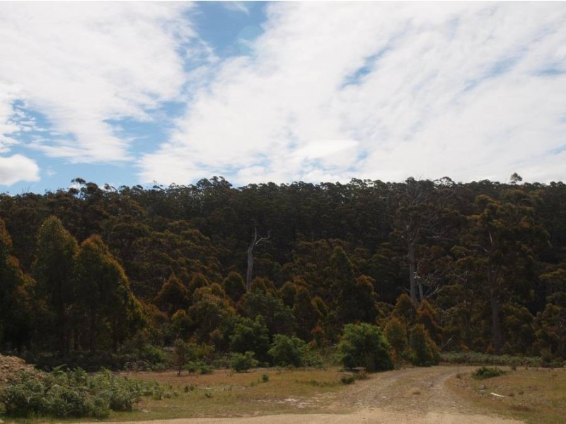 551a Dam Rd, Saltwater River TAS 7186
