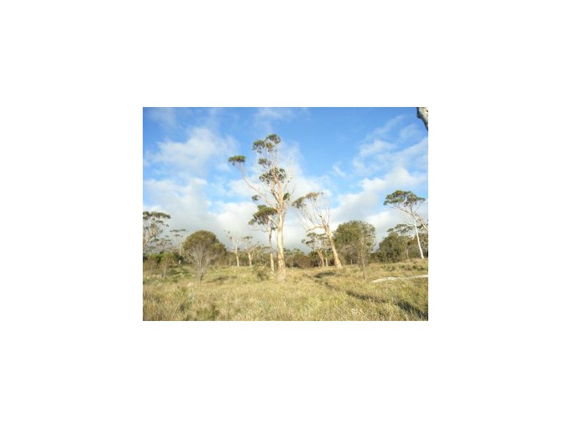 White Beach TAS 7184