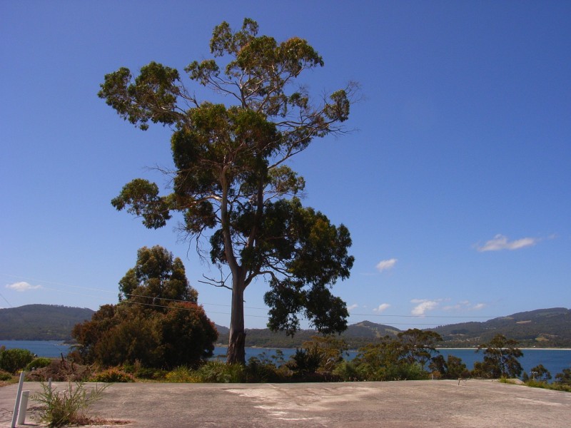 White Beach TAS 7184