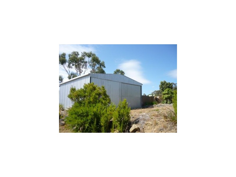 White Beach TAS 7184