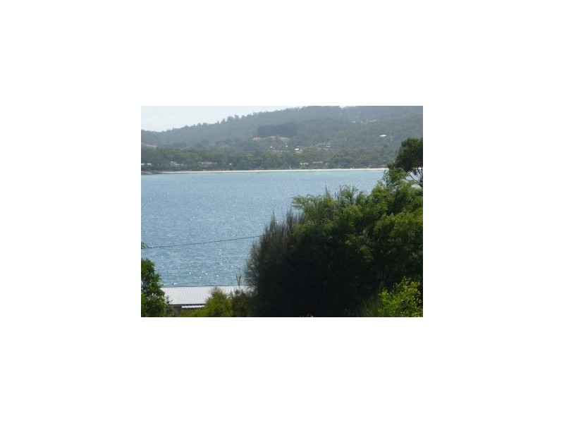 White Beach TAS 7184