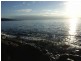 White Beach TAS 7184
