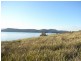 White Beach TAS 7184