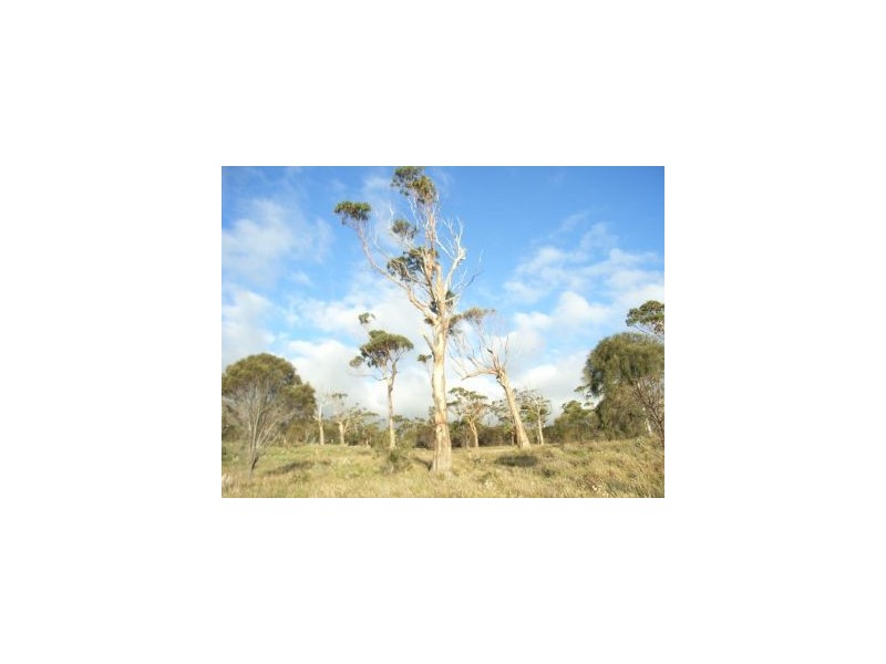 White Beach TAS 7184