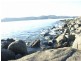 White Beach TAS 7184