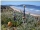 Dodges Ferry TAS 7173