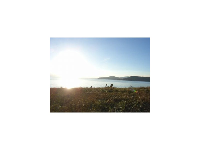 White Beach TAS 7184