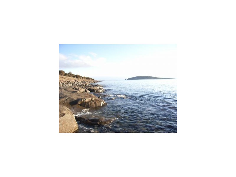 White Beach TAS 7184