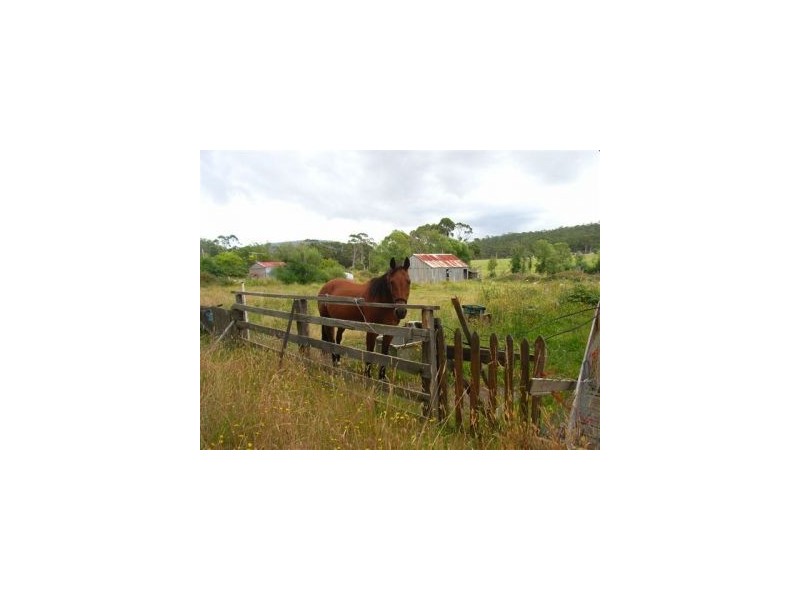 19 Marion Bay Rd, Copping TAS 7174