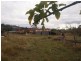 19 Marion Bay Rd, Copping TAS 7174