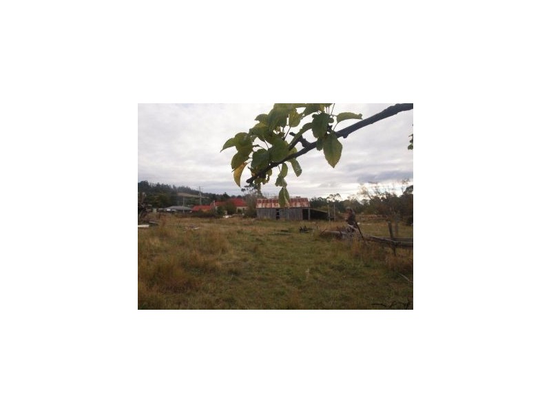 19 Marion Bay Rd, Copping TAS 7174