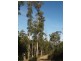 Lot 9 Pirates Bay Dr, Eaglehawk Neck TAS 7179