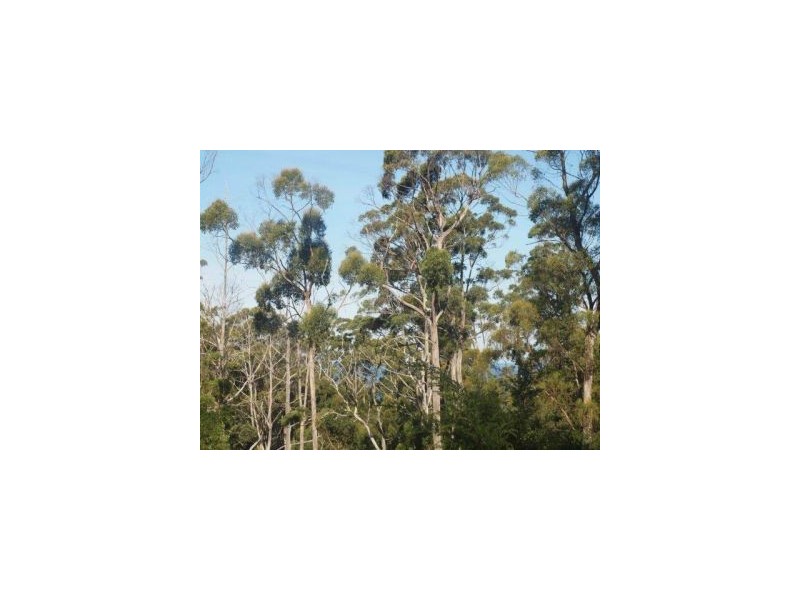 Lot 9 Pirates Bay Dr, Eaglehawk Neck TAS 7179
