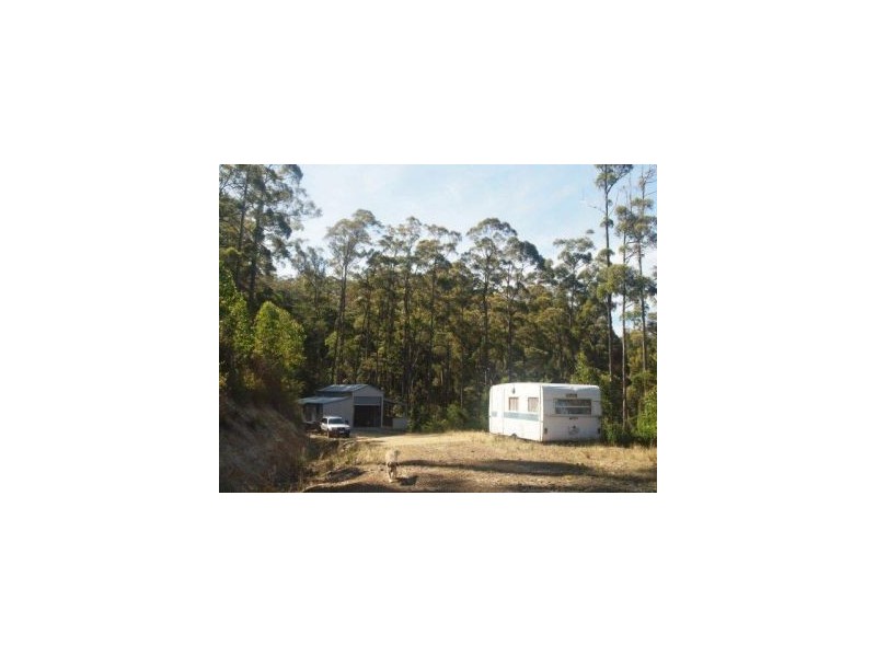 Lot 9 Pirates Bay Dr, Eaglehawk Neck TAS 7179
