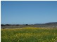 Lot 12 Bay Rd, Marion Bay TAS 7175