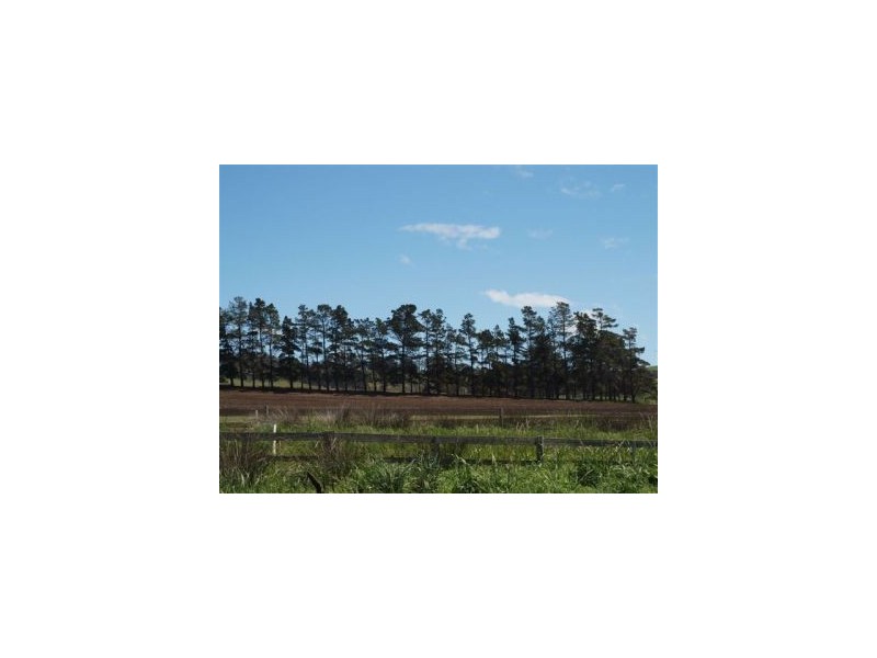 Lot 12 Bay Rd, Marion Bay TAS 7175