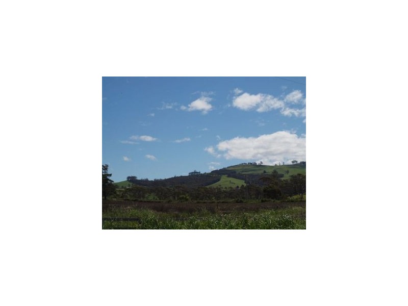 Lot 12 Bay Rd, Marion Bay TAS 7175
