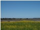 Lot 12 Bay Rd, Marion Bay TAS 7175