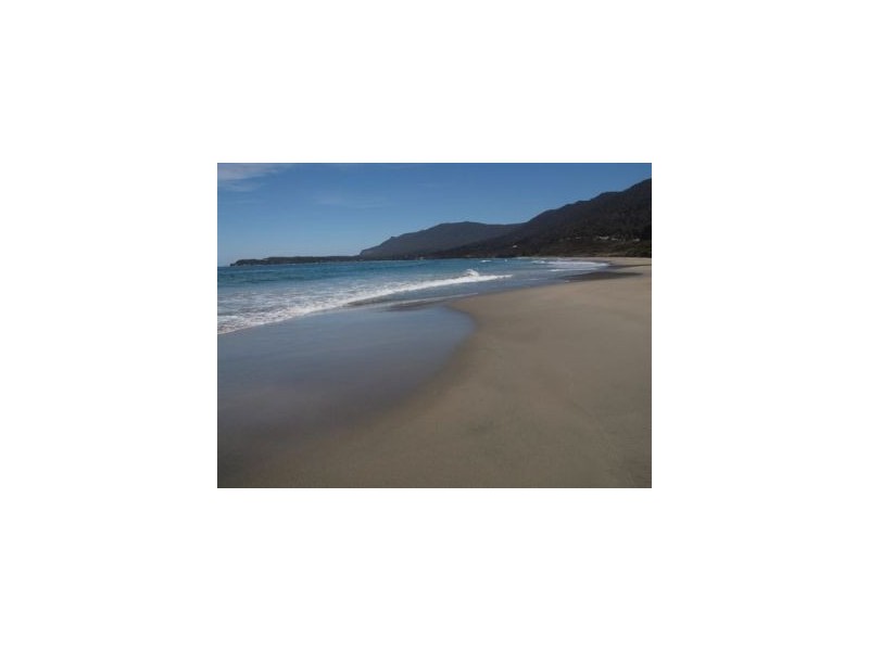 Lot 1 443 Pirates Bay Drive, Eaglehawk Neck TAS 7179