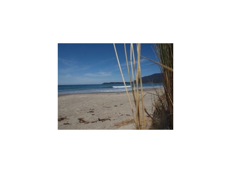 Lot 1 443 Pirates Bay Drive, Eaglehawk Neck TAS 7179
