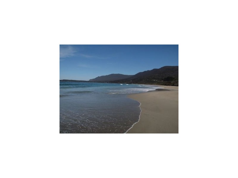 Lot 1 443 Pirates Bay Drive, Eaglehawk Neck TAS 7179