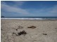 Lot 1 443 Pirates Bay Drive, Eaglehawk Neck TAS 7179