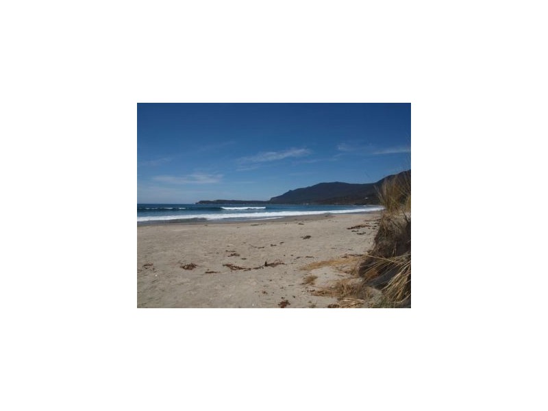 Lot 1 443 Pirates Bay Drive, Eaglehawk Neck TAS 7179
