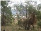 13 High Street, Dunalley TAS 7177