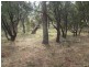 13 High Street, Dunalley TAS 7177