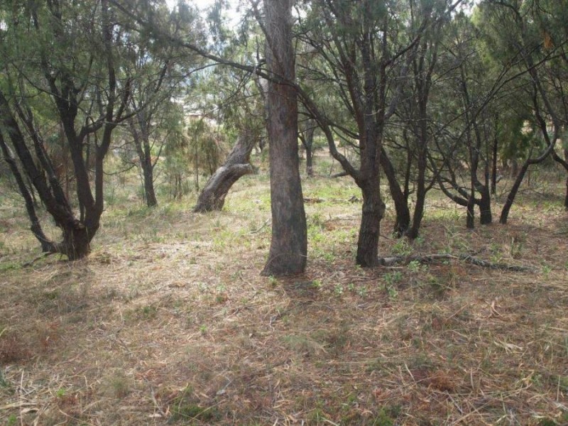 13 High Street, Dunalley TAS 7177