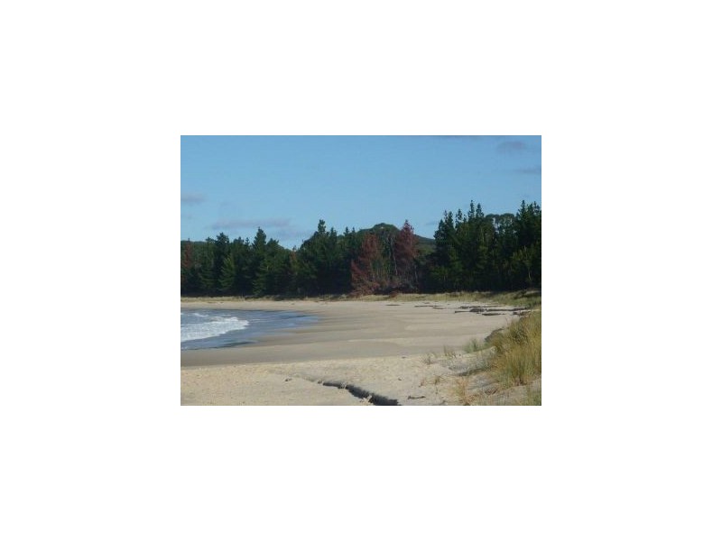 441 Safety Cove Road, Port Arthur TAS 7182