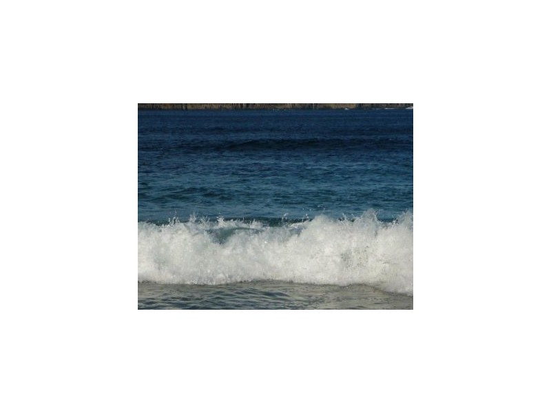 441 Safety Cove Road, Port Arthur TAS 7182