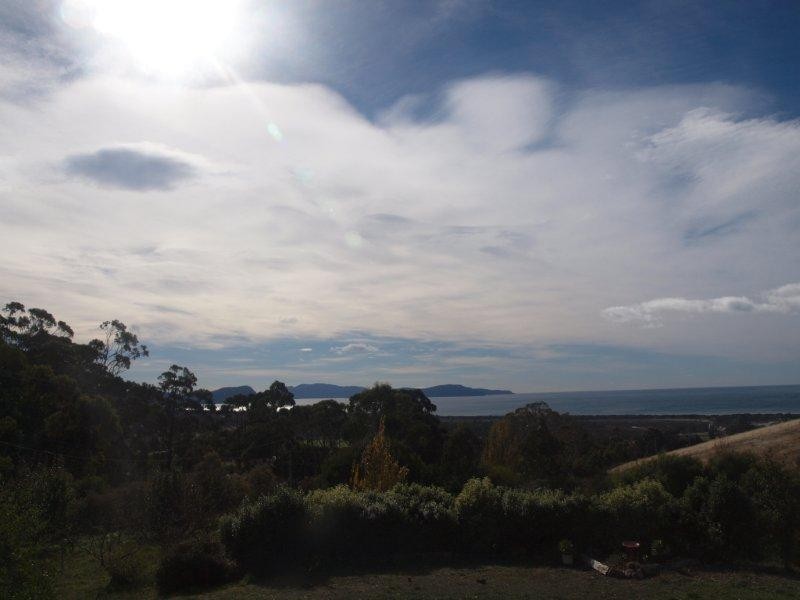 316 Marion Bay Road, Marion Bay TAS 7175