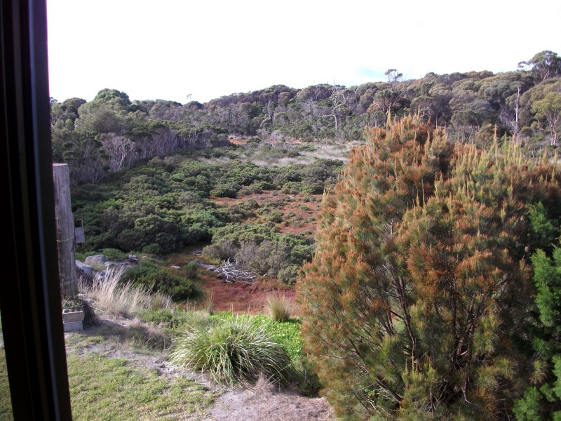 1 Simeon Place, St Helens TAS 7216