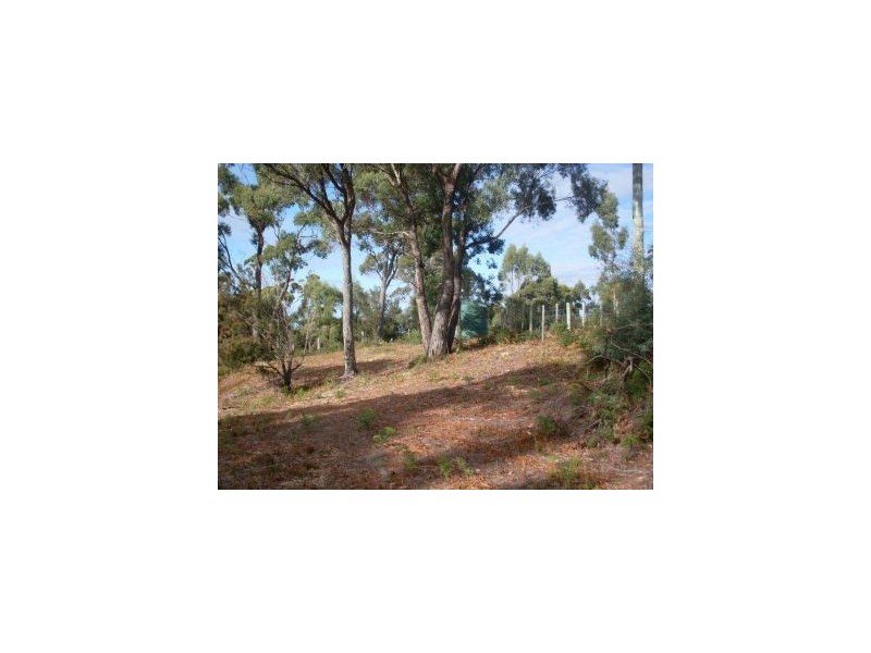 3 Correa Street, Primrose Sands TAS 7173