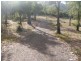 3 Correa Street, Primrose Sands TAS 7173