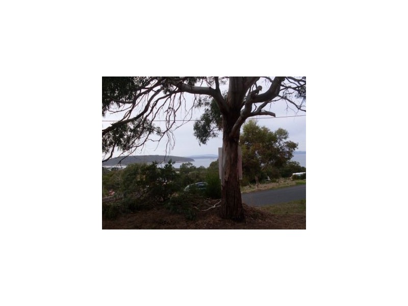 16 Wattle Rd, Dodges Ferry TAS 7173