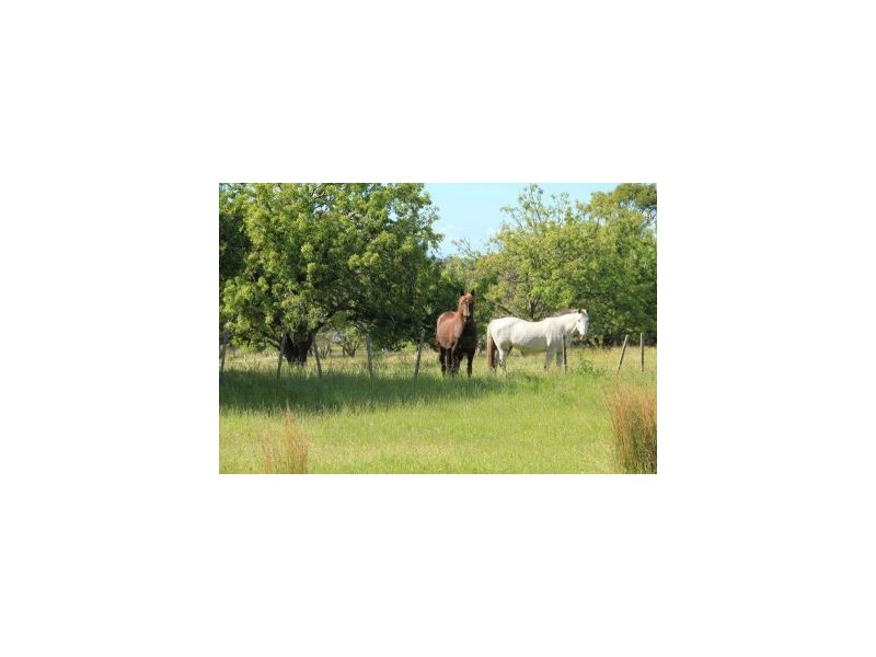 8 Arthur Highway, Dunalley TAS 7177