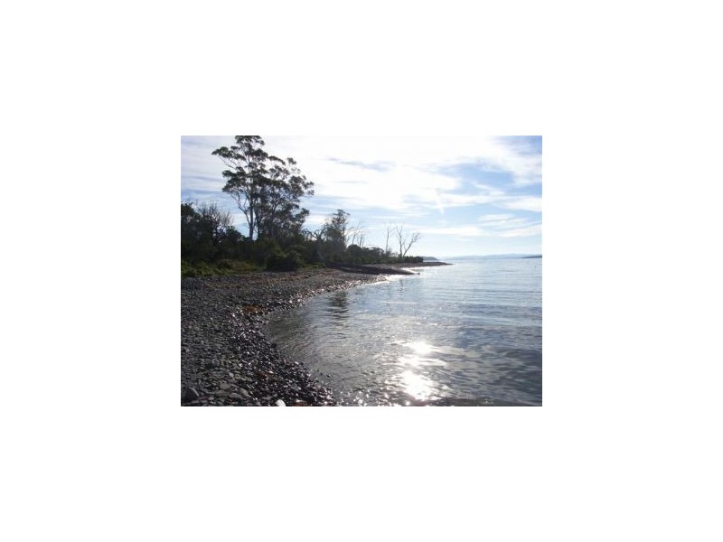 128 Blackjack Road, Sloping Main TAS 7186