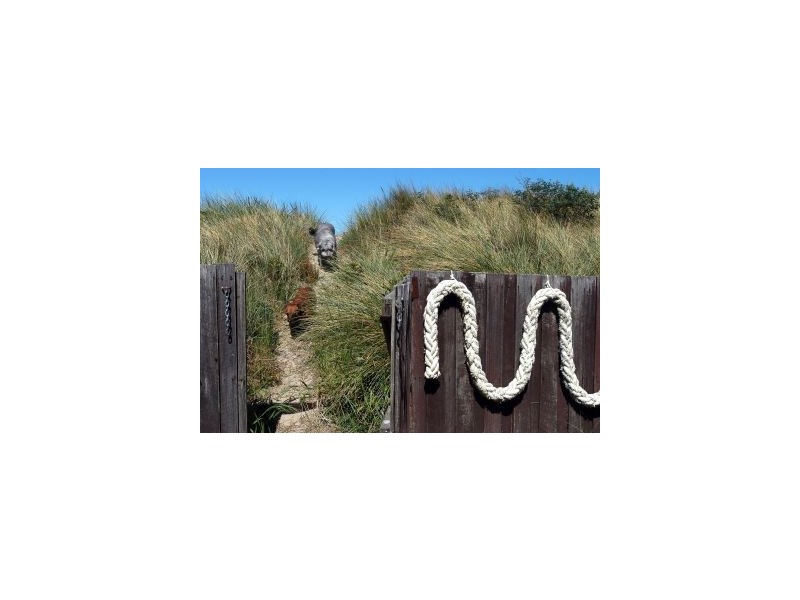 9 Grebe  Street, Primrose Sands TAS 7173