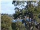 50 Lagoon Road, White Beach TAS 7184